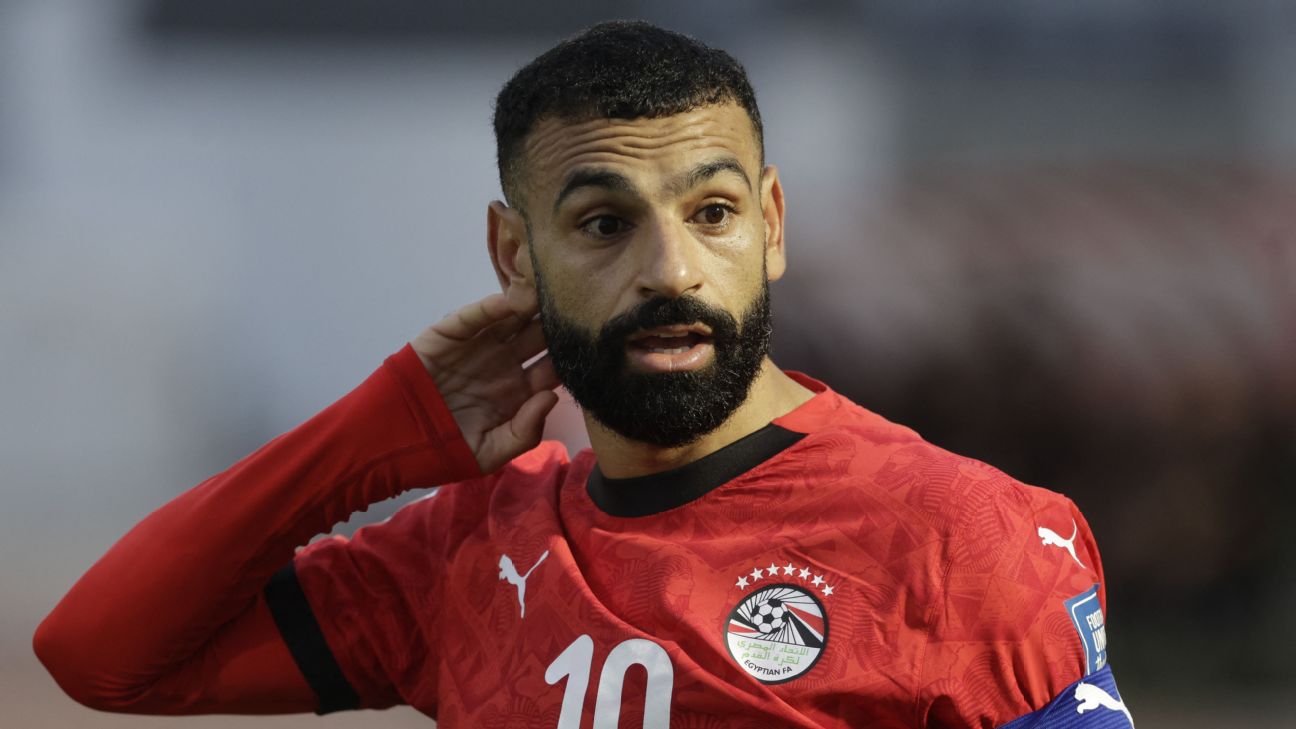 埃及世界杯球衣去掉七颗星 FIFA此前已提出要求